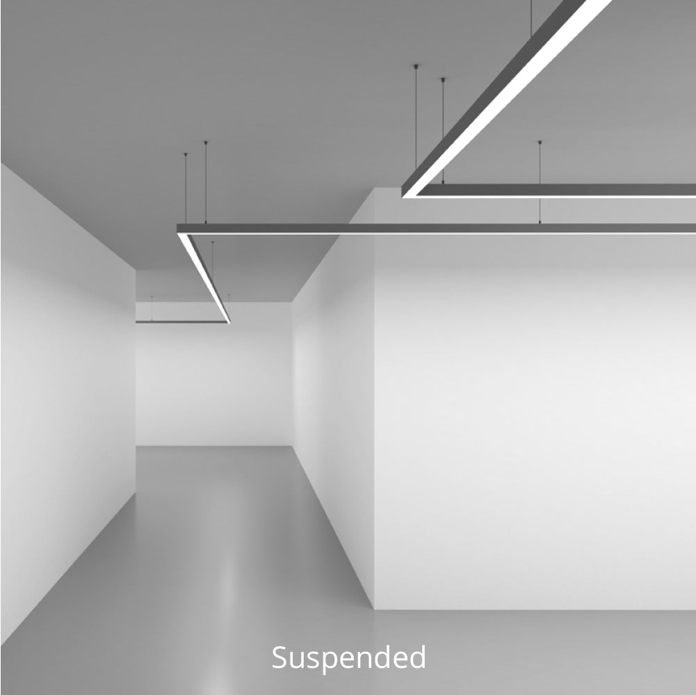 Suspended store mounted light