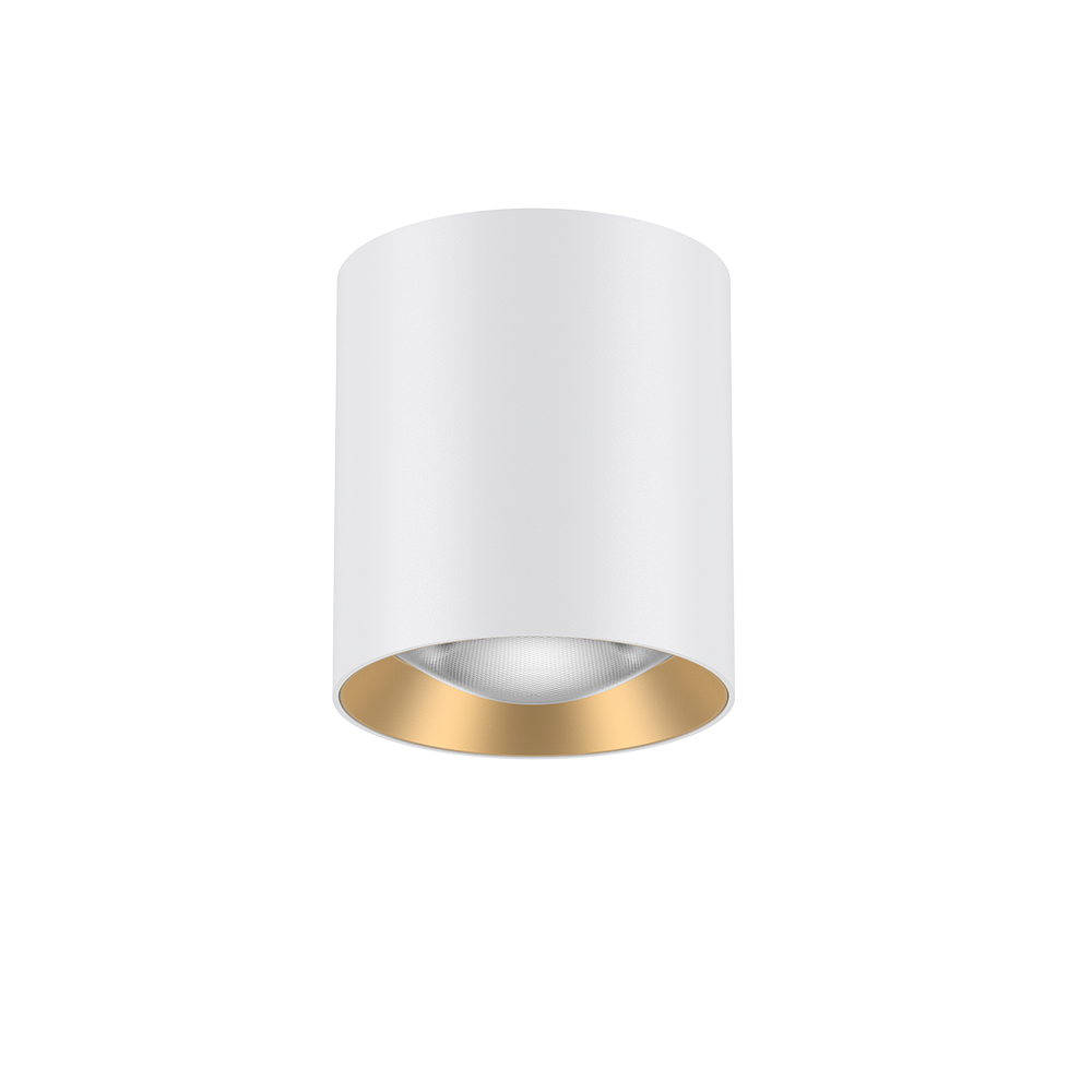 SD90 White/White with Gold Trim 10W Ø90*H100mm LED Cylinder Surface Mounted Spot Light (Downlight)